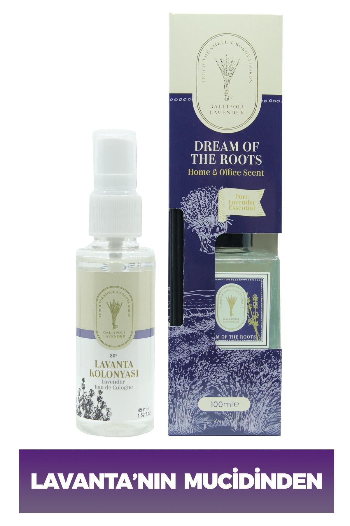 Dr. Lavender Bambu Çubuklu Kalıcı Oda Kokusu Lavanta Kokusu + Çanta Boy Lavanta Kolonyası 45 Ml