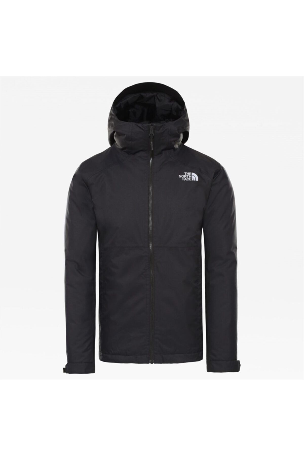 THE NORTH FACE Millerton Siyah Erkek Mont