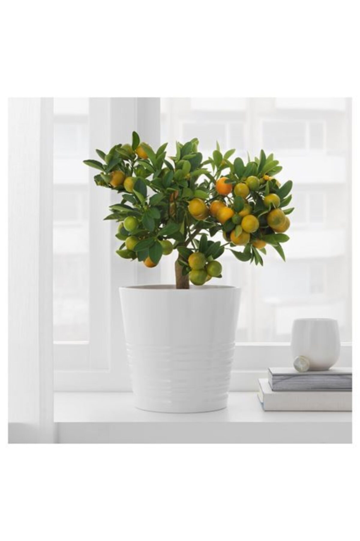 IKEA Muskot 15 cm Saksı Toprak Kap Seramik Beyaz Bahçe Çiçek