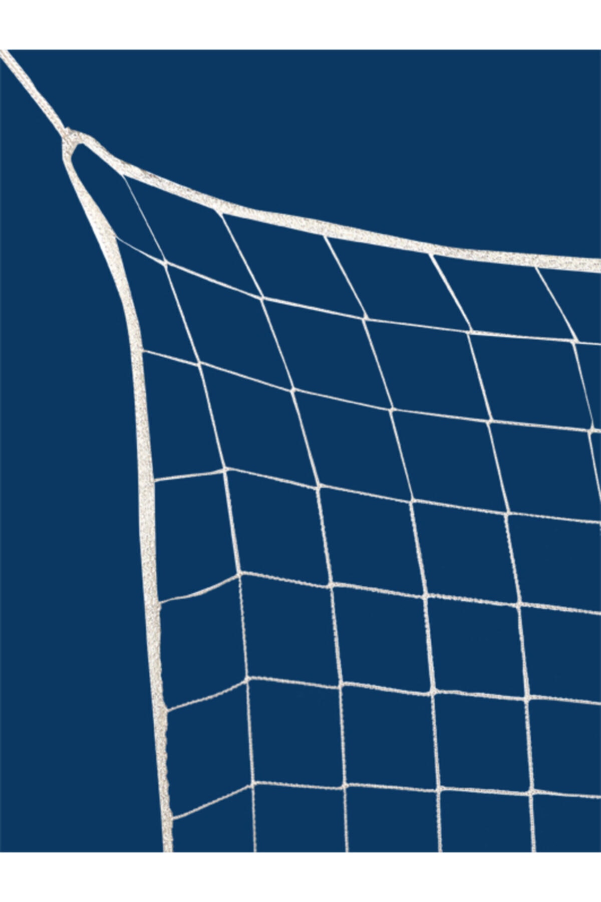 NET 225 cm x 12 mt 2 mm Kedi Koruma Filesi Ağı Kuş Filesi Balkon Filesi Çocuk Filesi