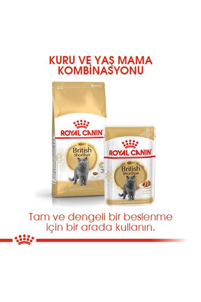 British Shorthair Adult Yetişkin Kedi Maması 400 Gr Image 4