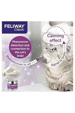 Classic başlangıç seti Image 1