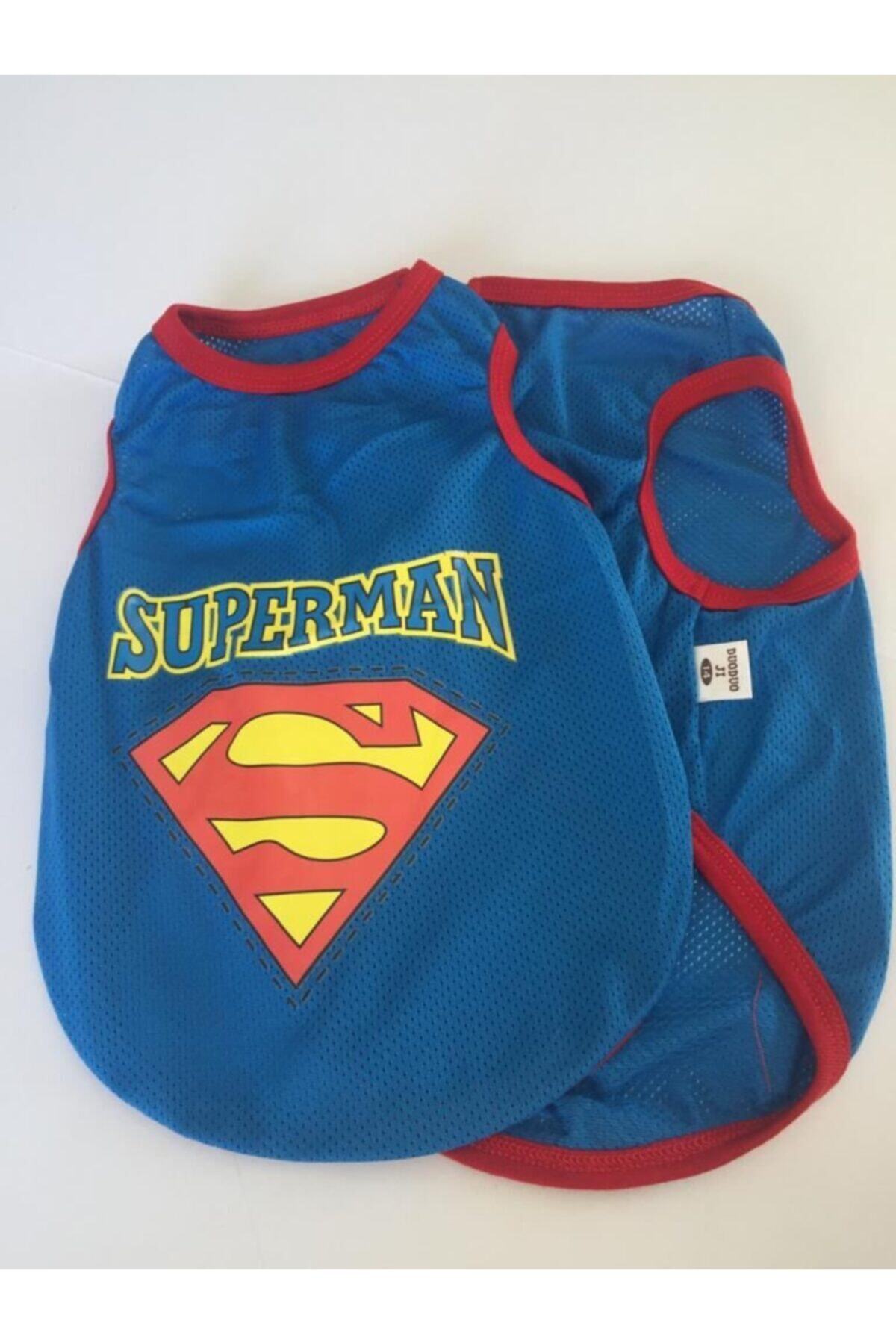 Zeyşil Pati Giyim Superman File Kedi Ve Köpek Atleti