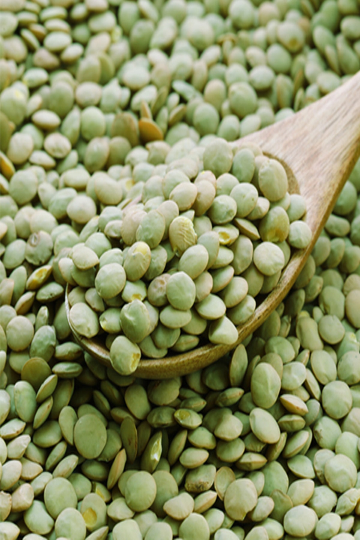 Arişaltı Taze Mahsul Yeşil Mercimek 1 Kg