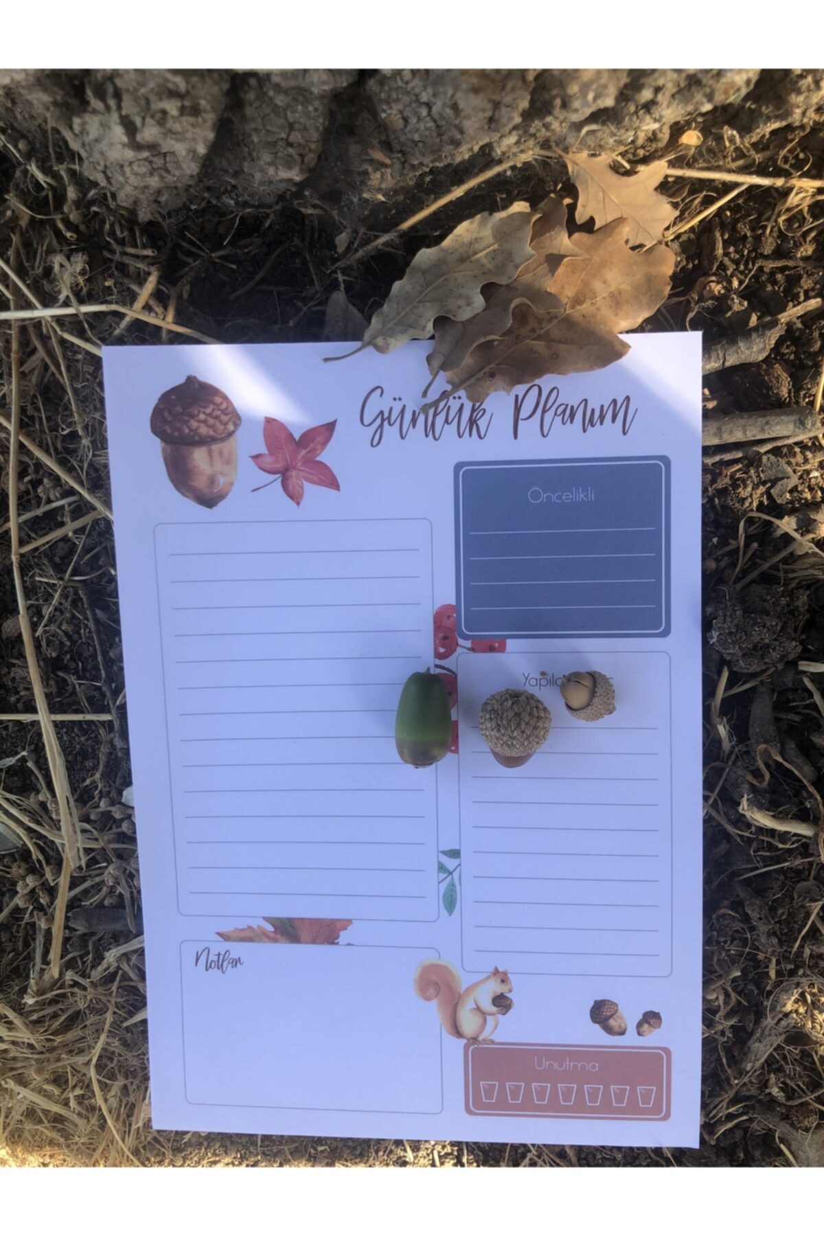 Papiro Sonbahar Günlük Planlayıcı