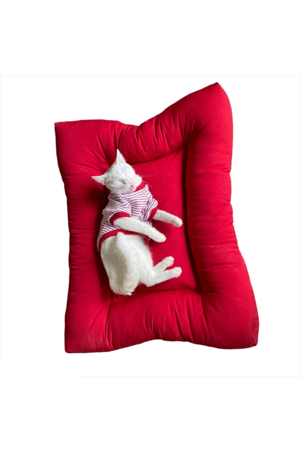 Kemique Poofy Red Xlarge Kedi Minderi Kedi Yatağı