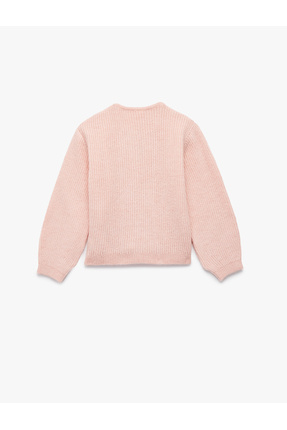 Aplike Gül Detaylı Uzun Kollu Bisiklet Yaka Düğmeli Triko Hırka Image 1