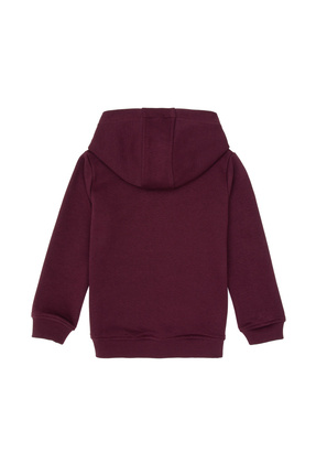 Erkek Çocuk Bordo Basic Kapüşonlu Sweatshirt 50313980-VR177 Image 1