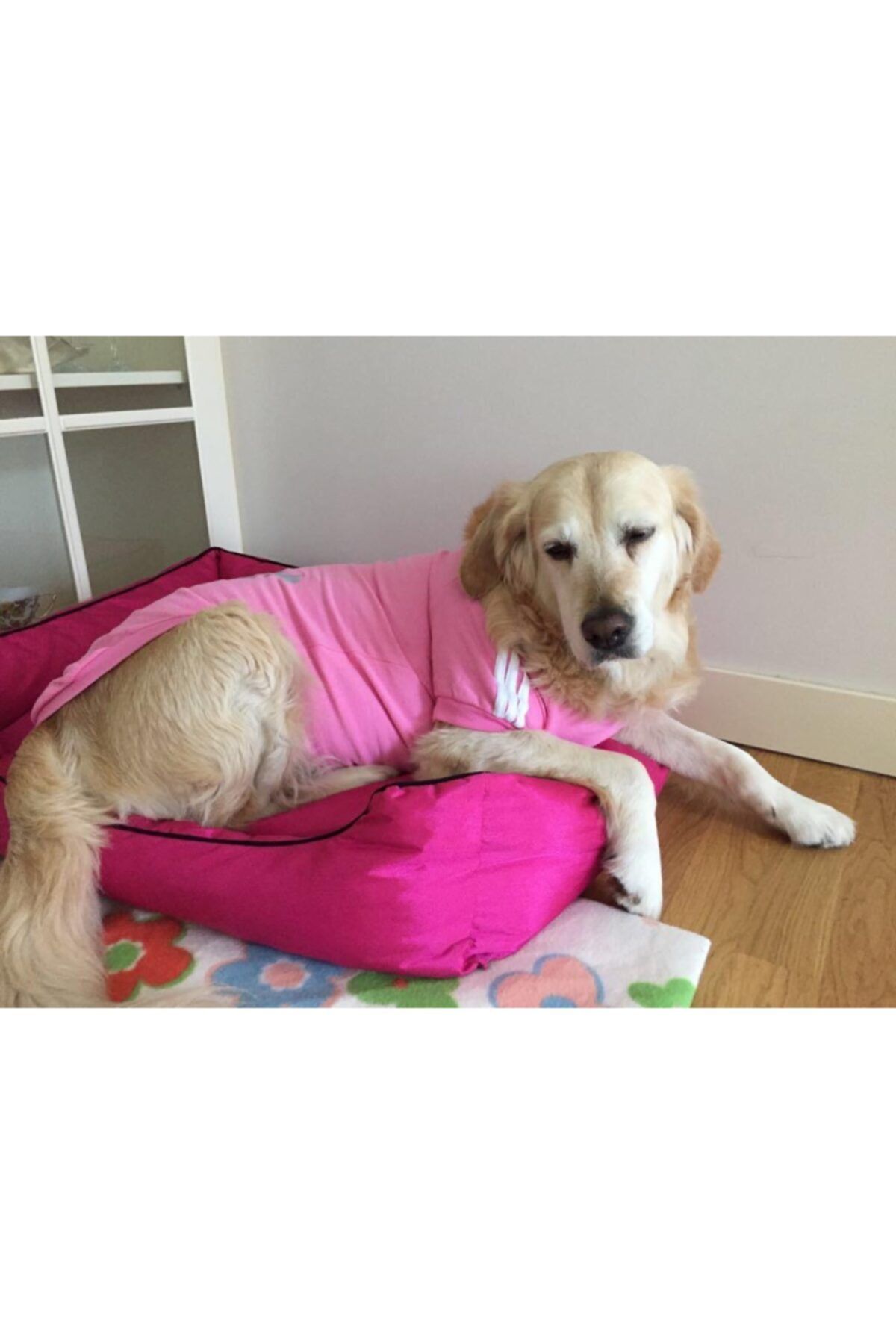 Kemique Pembe Adidog Kapşonlu Sweatshirt Büyük Irklar Için 8xl ( 30 - 35 Kg )