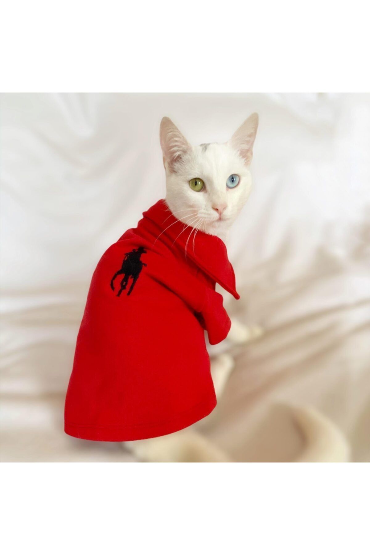 Kemique Rl Red Black Polo Yaka Tişört Kedi Kıyafeti Kedi Elbisesi