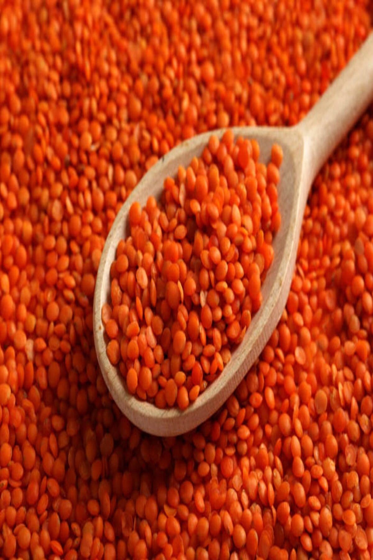Arişaltı Taze Mahsul Kırmızı Mercimek 1 Kg