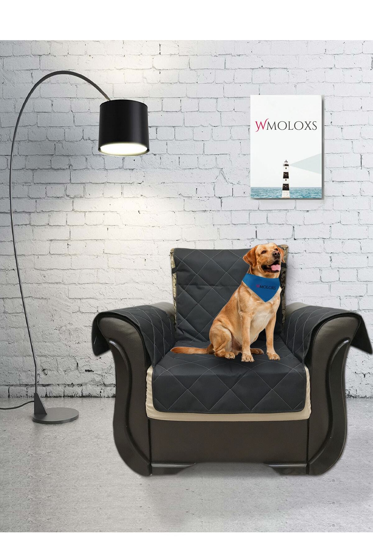 Wmoloxs Evcil Hayvan Tekli Koltuk Örtüsü Kedi Köpek Kılıfı Sıvı Geçirmez Leke Tutmaz Siyah Renk