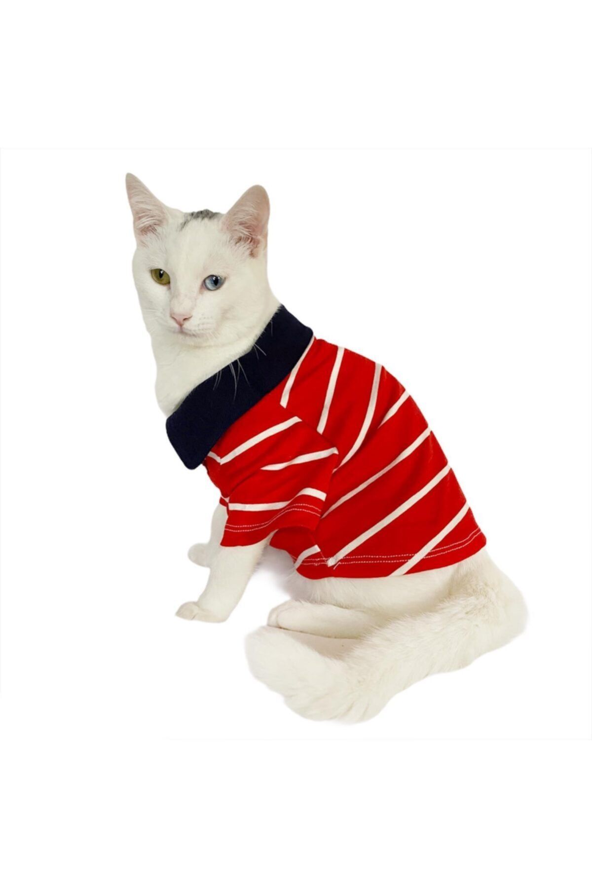 Kemique Red Stripe Elegance Polo Yaka Tişört Kedi Kıyafeti Kedi Elbisesi