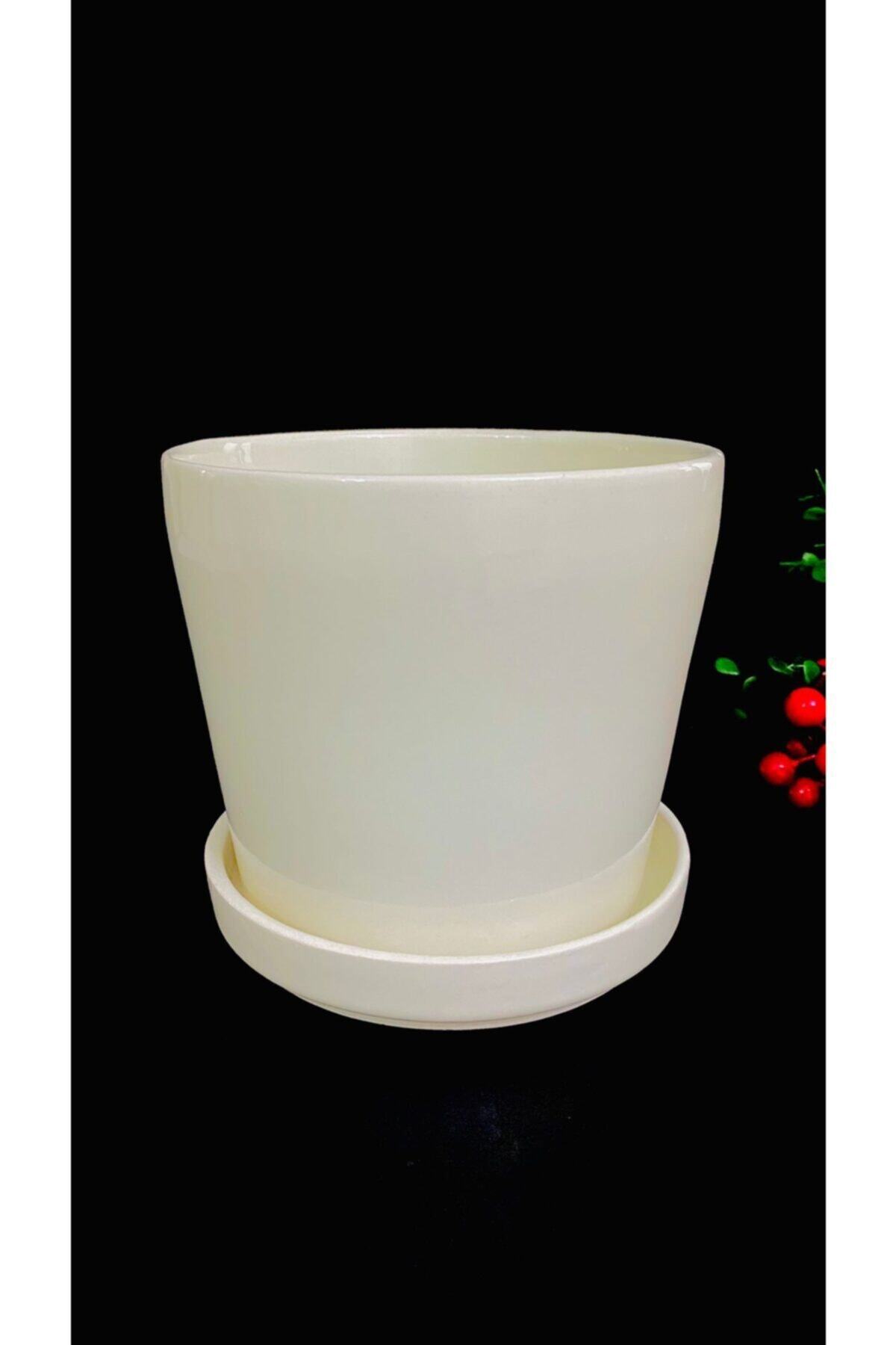 ceohome Tabaklı Seramik Saksı