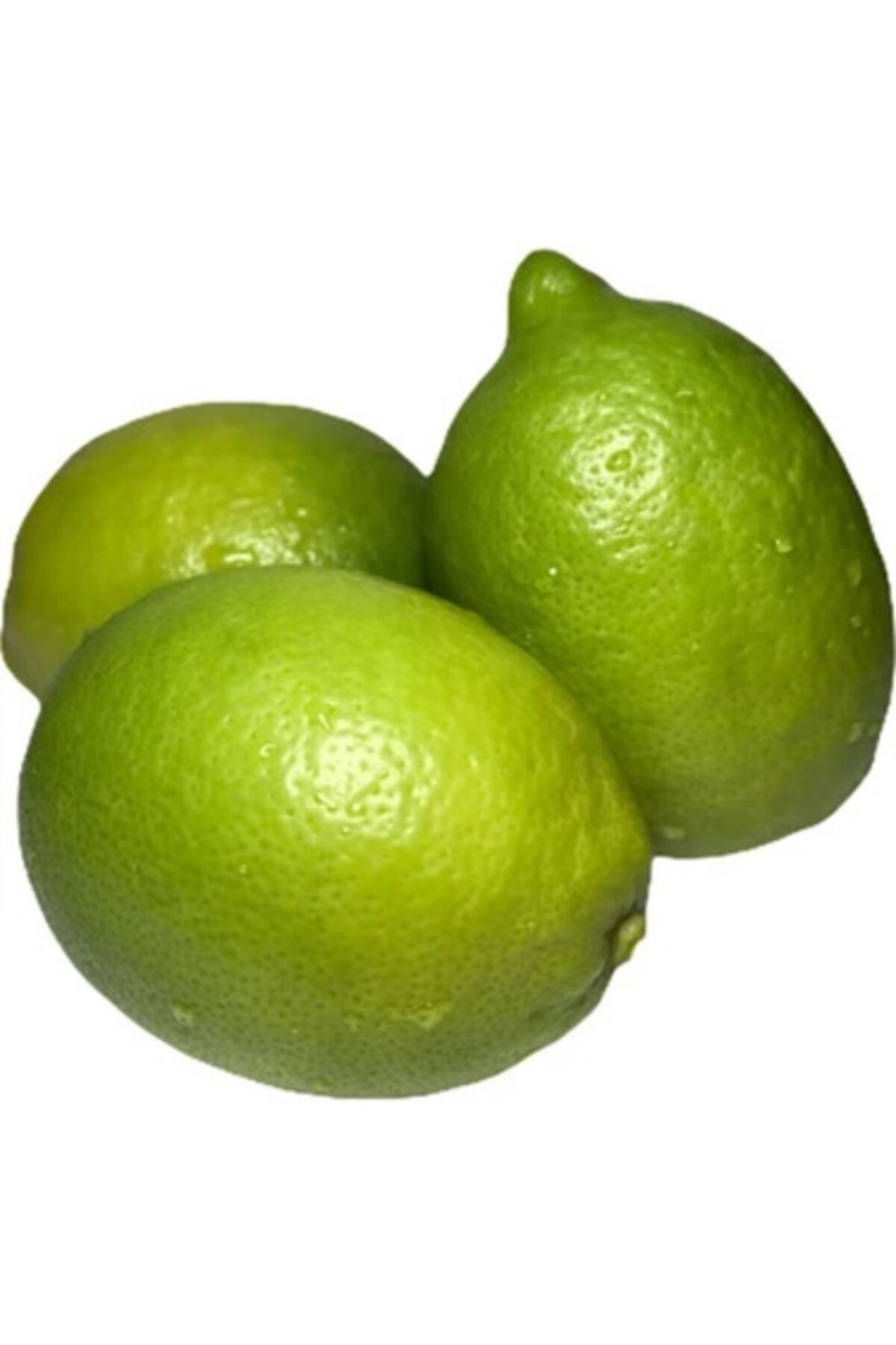 Güneydoğu Limon 2,5 kg