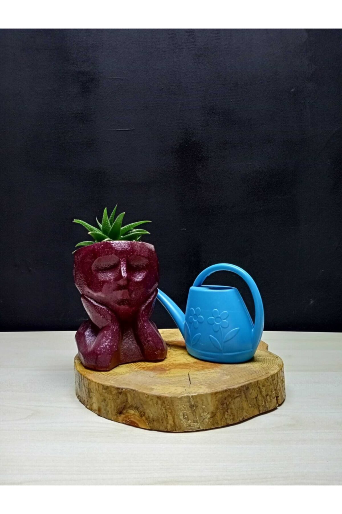 Magenta Papatya Model Mavi Kaktüs Sulama Kabı