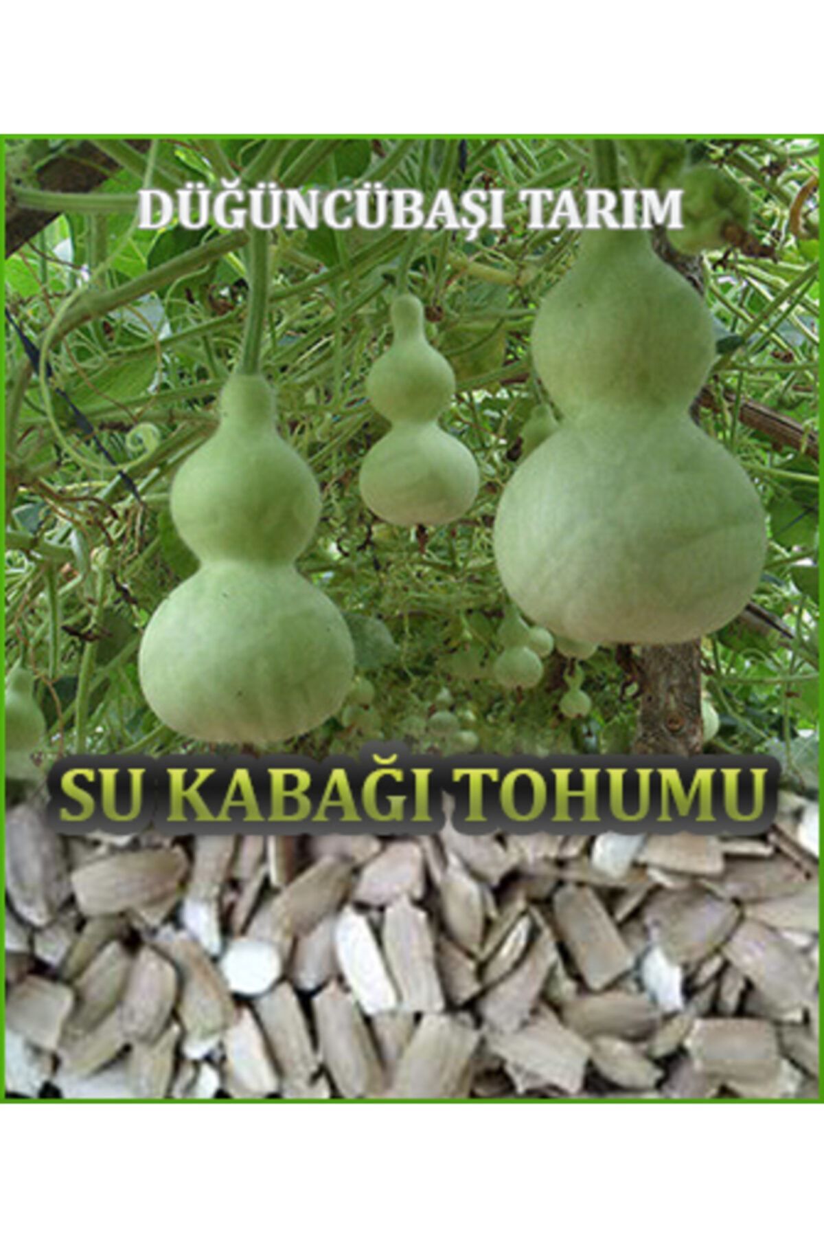 Düğüncübaşı Tarım Su Kabağı Tohumu (20 Adet)