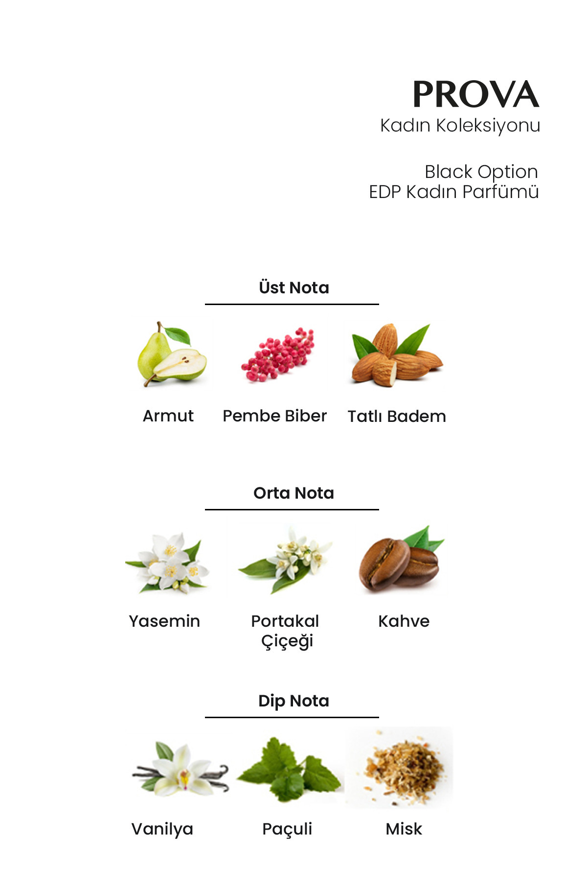 عطر زنانه Black Option EDP Oriental 120 ml