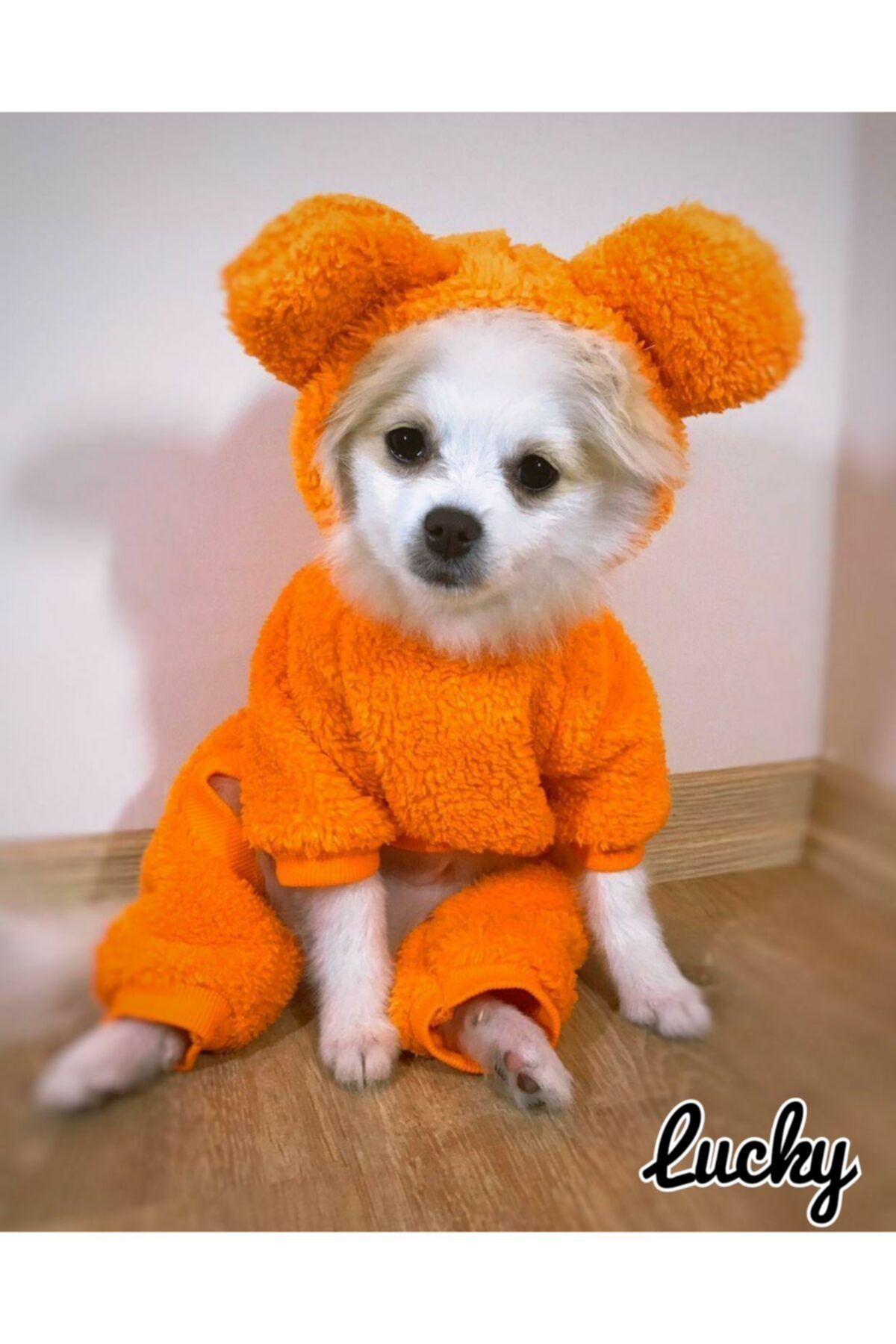 MİNİŞ PET BUTİK Turuncu Panda Kulaklı Peluş Tulum