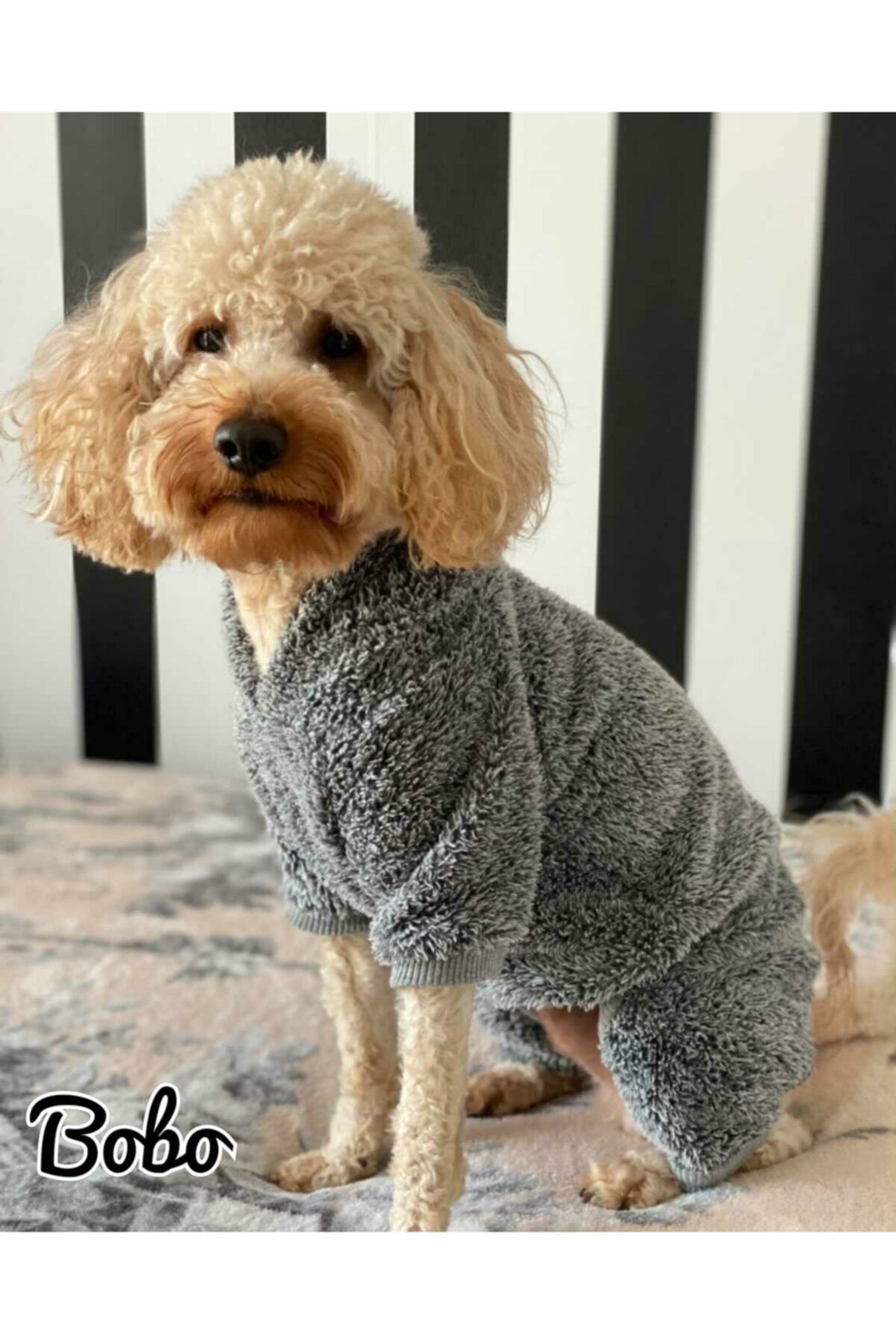 MİNİŞ PET BUTİK Panda Kulaklı Peluş Tulum