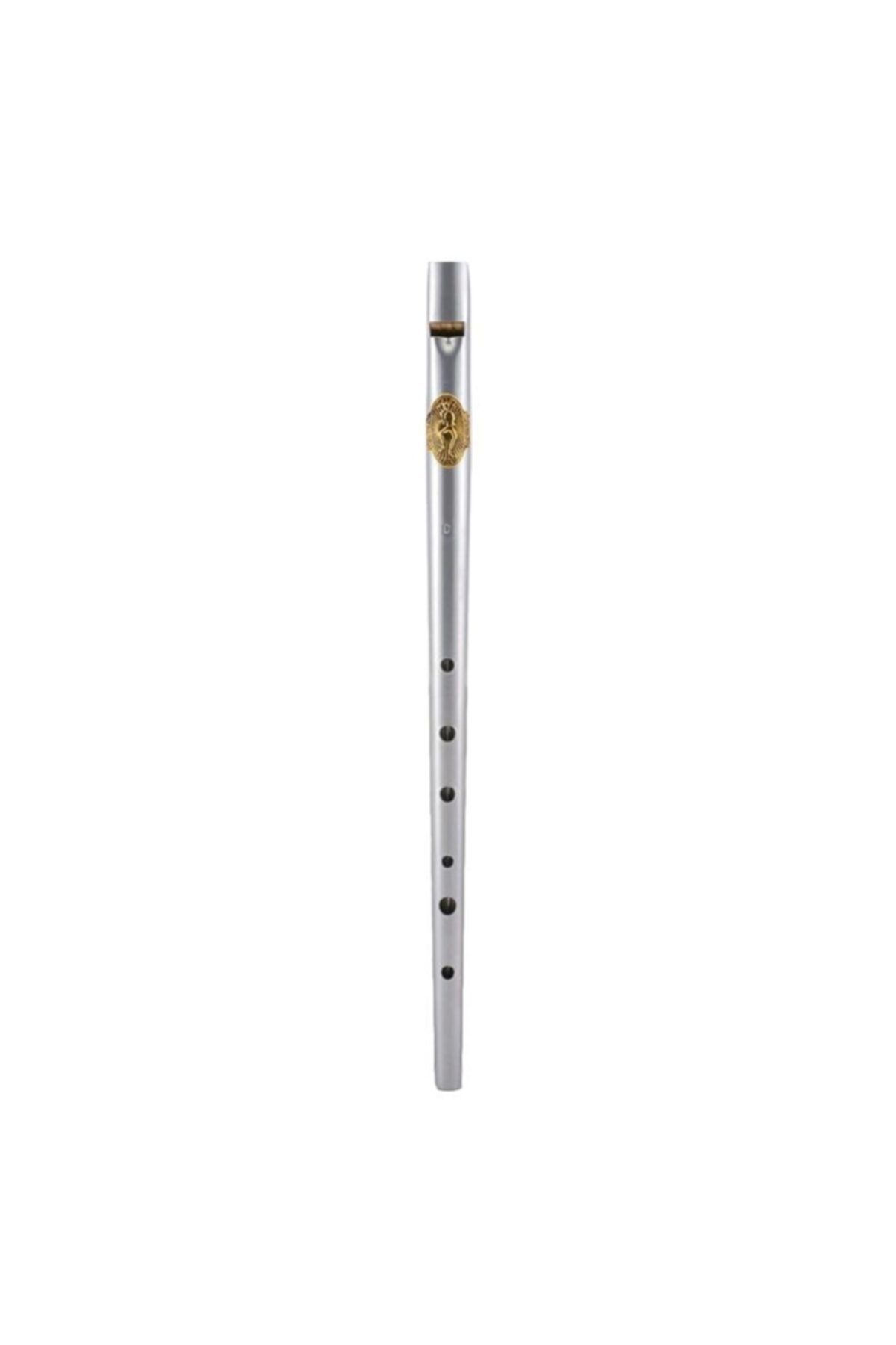 Clarke Irlanda Flütü -tinwhistle D Special Edition Original Gümüş