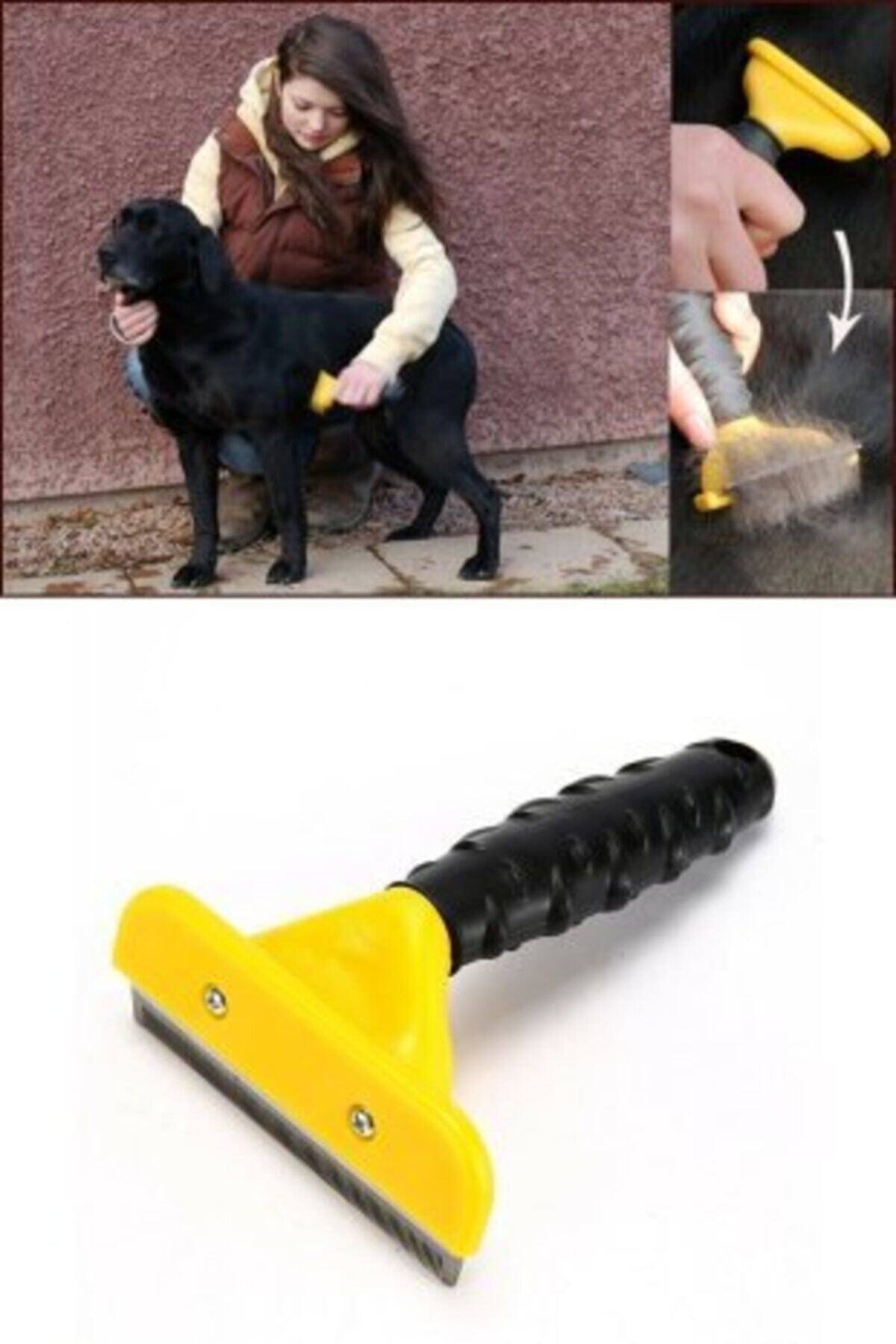 Amasra Kedi Köpek Evcil Hayvan Tüy Alıcı Tarak 7 cm Pratik Tüy Toplama Aleti