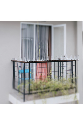 5 Adet(50cm) 2,5MT Şeffaf Kuş Uzaklaştırıcı Çit Bariyer Polikarbonat Zararsız Hayvan Dostu Image 2