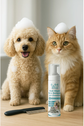 Kedi Köpek Kuru Şampuan Kedi ve Köpekler İçin Yıkamasız Arındırıcı Kuru Köpük Tüy Bakım Şampuanı Image 3