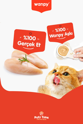 2li Set - Somonlu & Tavuklu Tahılsız Kaşıklı Kedi Ödül Kreması Kedi Ödülü 20 x 16gr Image 4