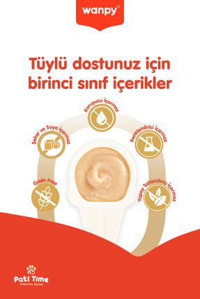 2li Set - Somonlu & Tavuklu Tahılsız Kaşıklı Kedi Ödül Kreması Kedi Ödülü 20 x 16gr Image 2