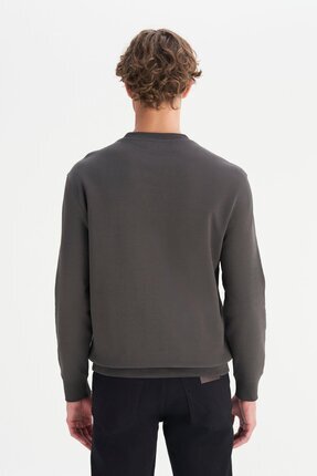 W252025533W Antrasit Erkek Bisiklet Yaka Regular Fit Sweatshirt Image 1