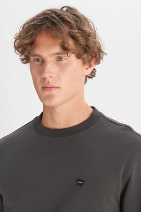 W252025533W Antrasit Erkek Bisiklet Yaka Regular Fit Sweatshirt Image 4