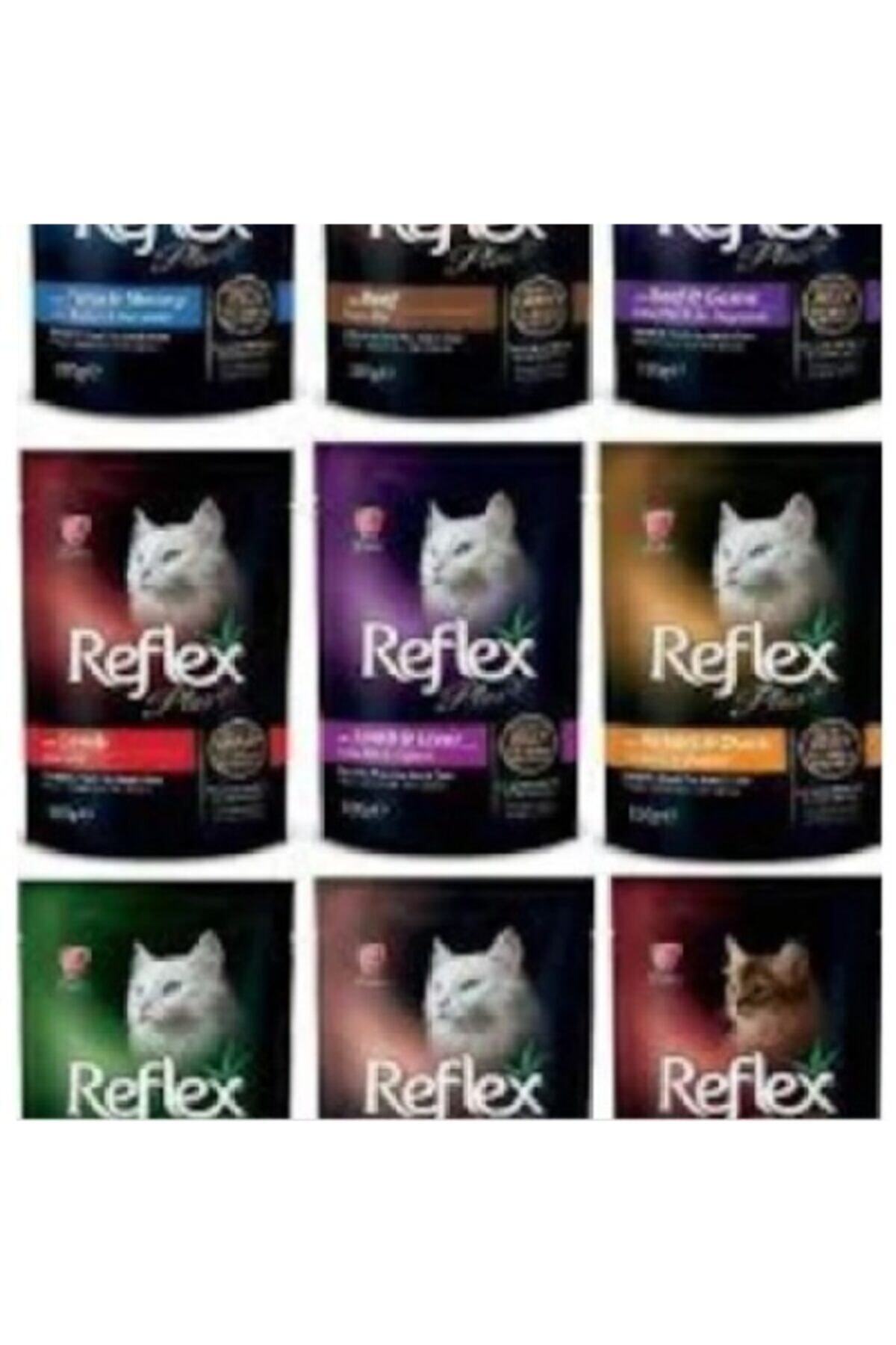 Reflex Plus Yaş Mama 20*100 Gr