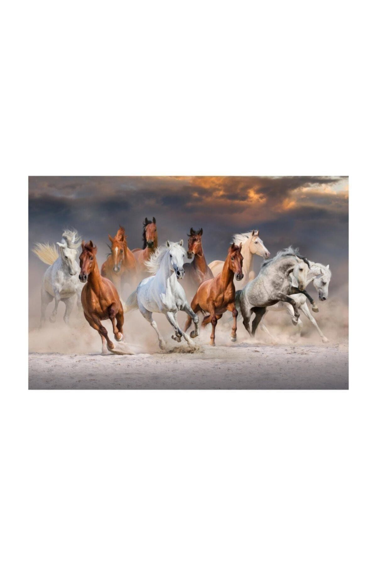 Altun Adam Games Marka Puzzle 1000 Parçalı Doludizgin Horses 48*68 Cm