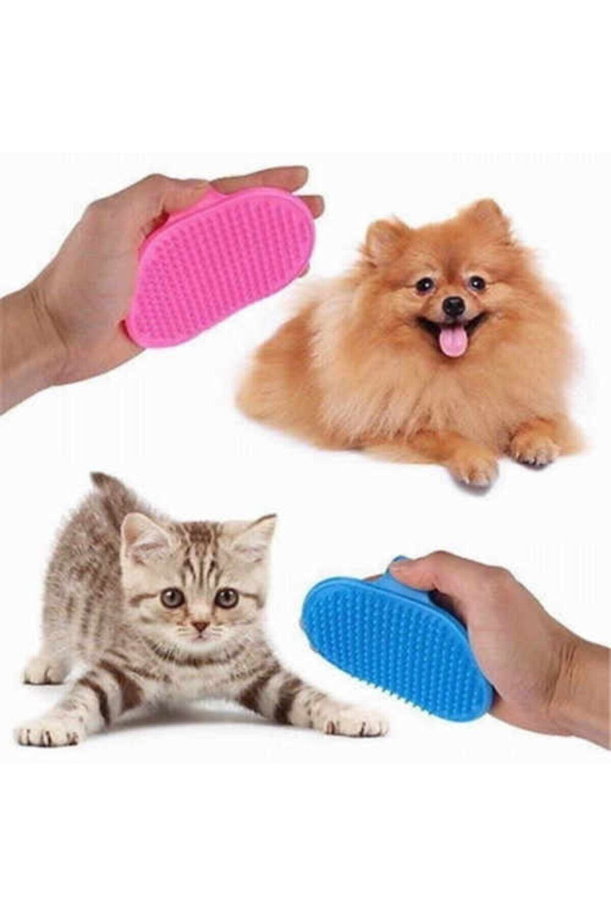 Chakie Kedi Köpek Masaj Tarağı
