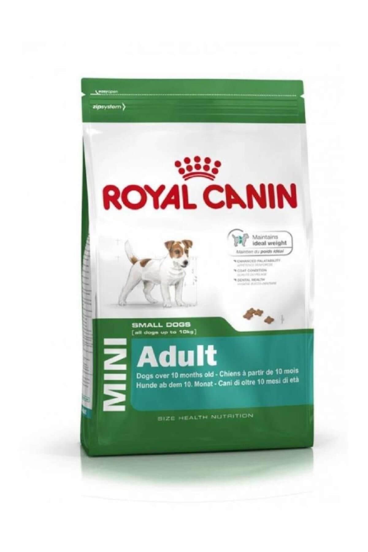 Royal Canin 300104000 Mini Adult Köpek Maması 4 kg
