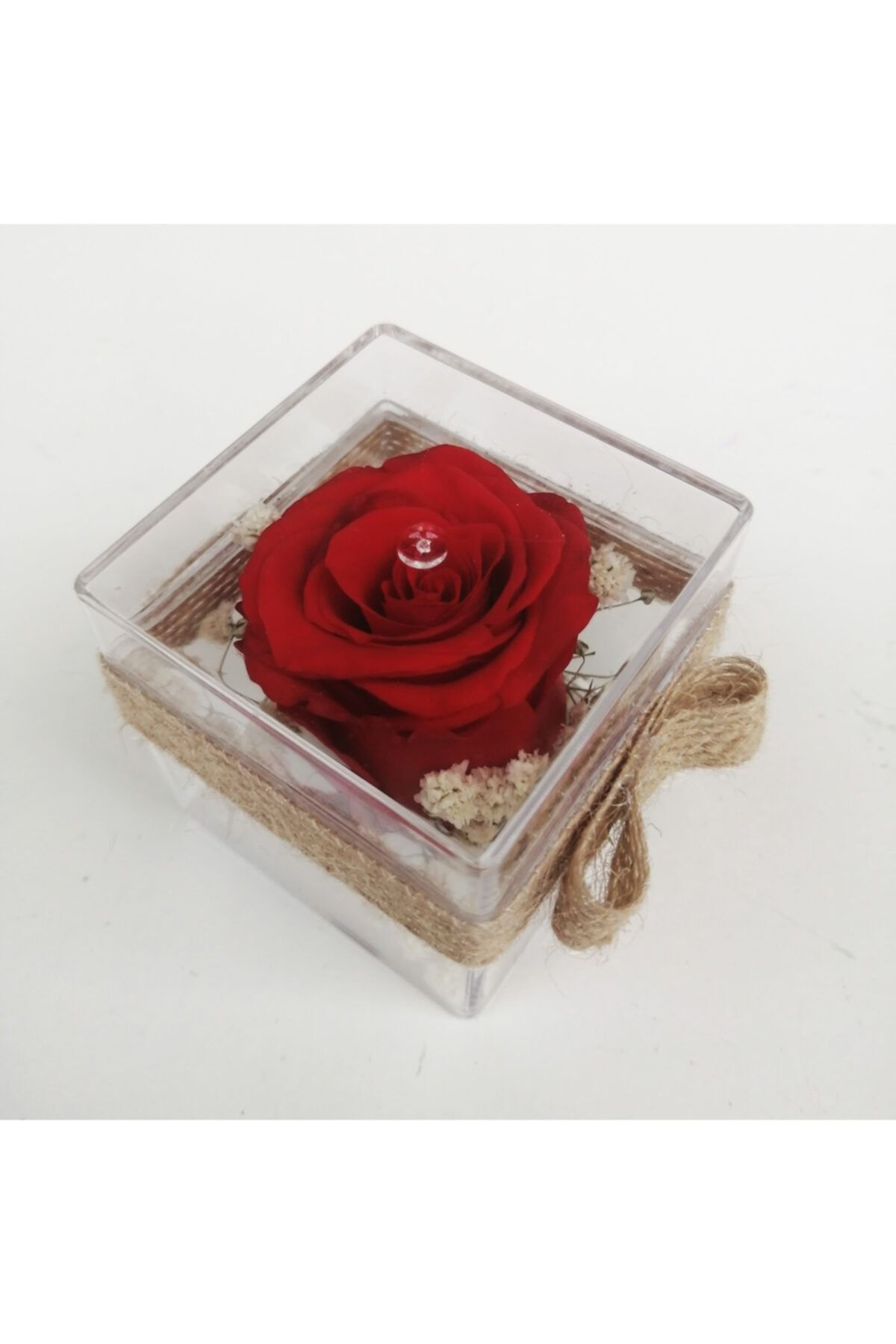 Kuzeyflower Mika Kutuda Kırmızı Solmayan Gül 5x5x5 cm Uzun Ömürlü Gerçek Gül