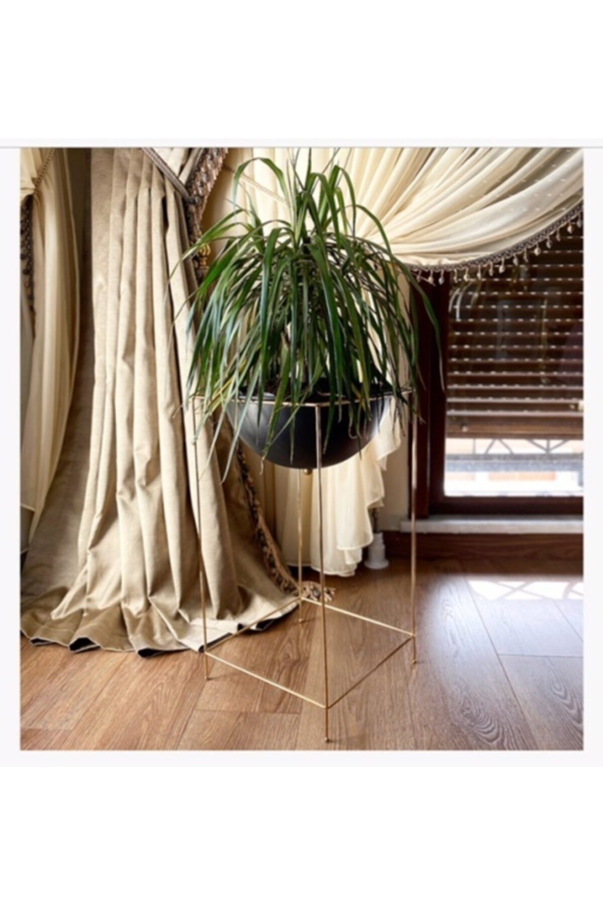 Hazella Home Gold Siyah Saksı