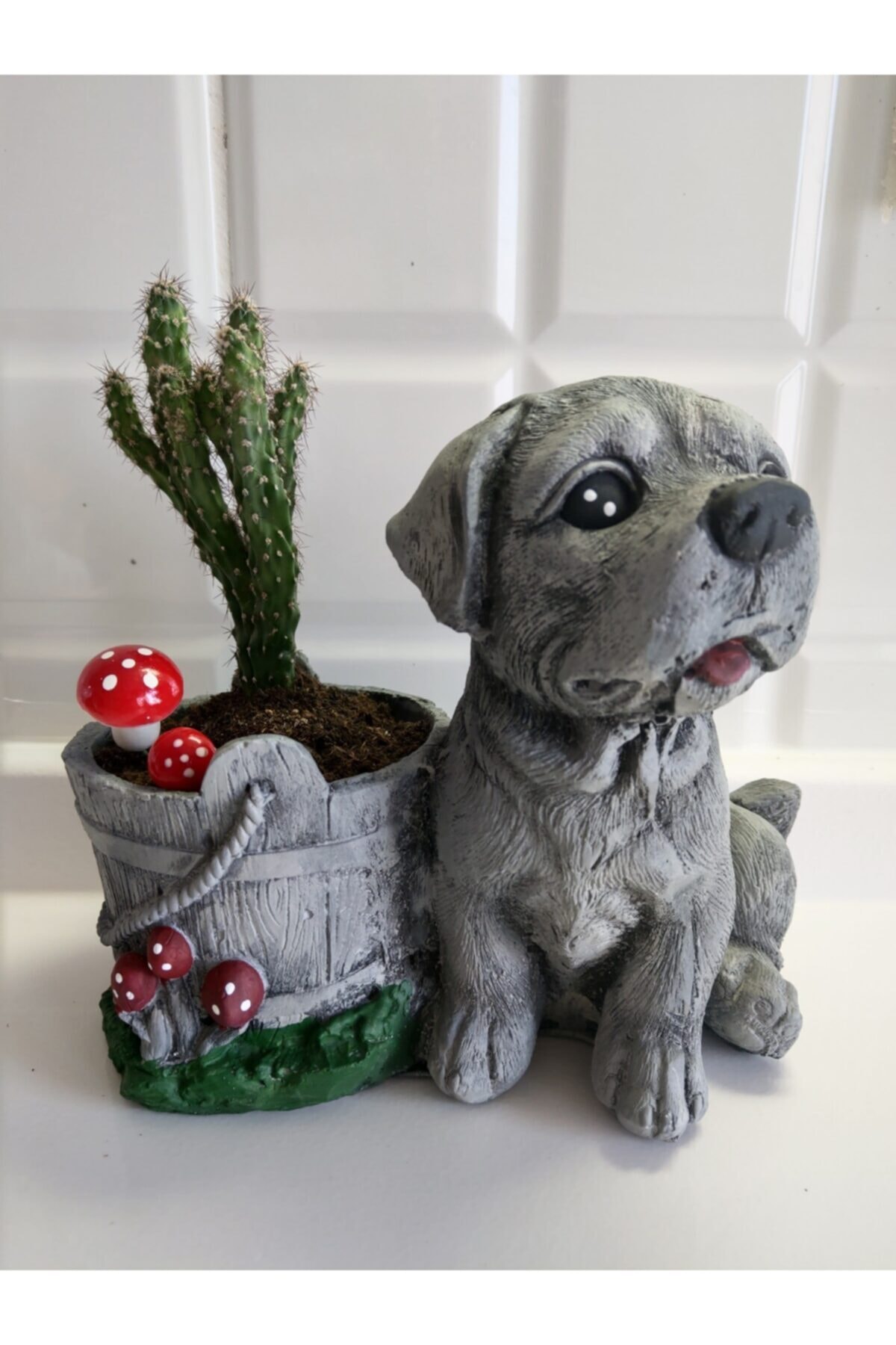 EYLÜL SUKULENT Köpek Model Saksıda Canlı Kaktüs 20 Cm