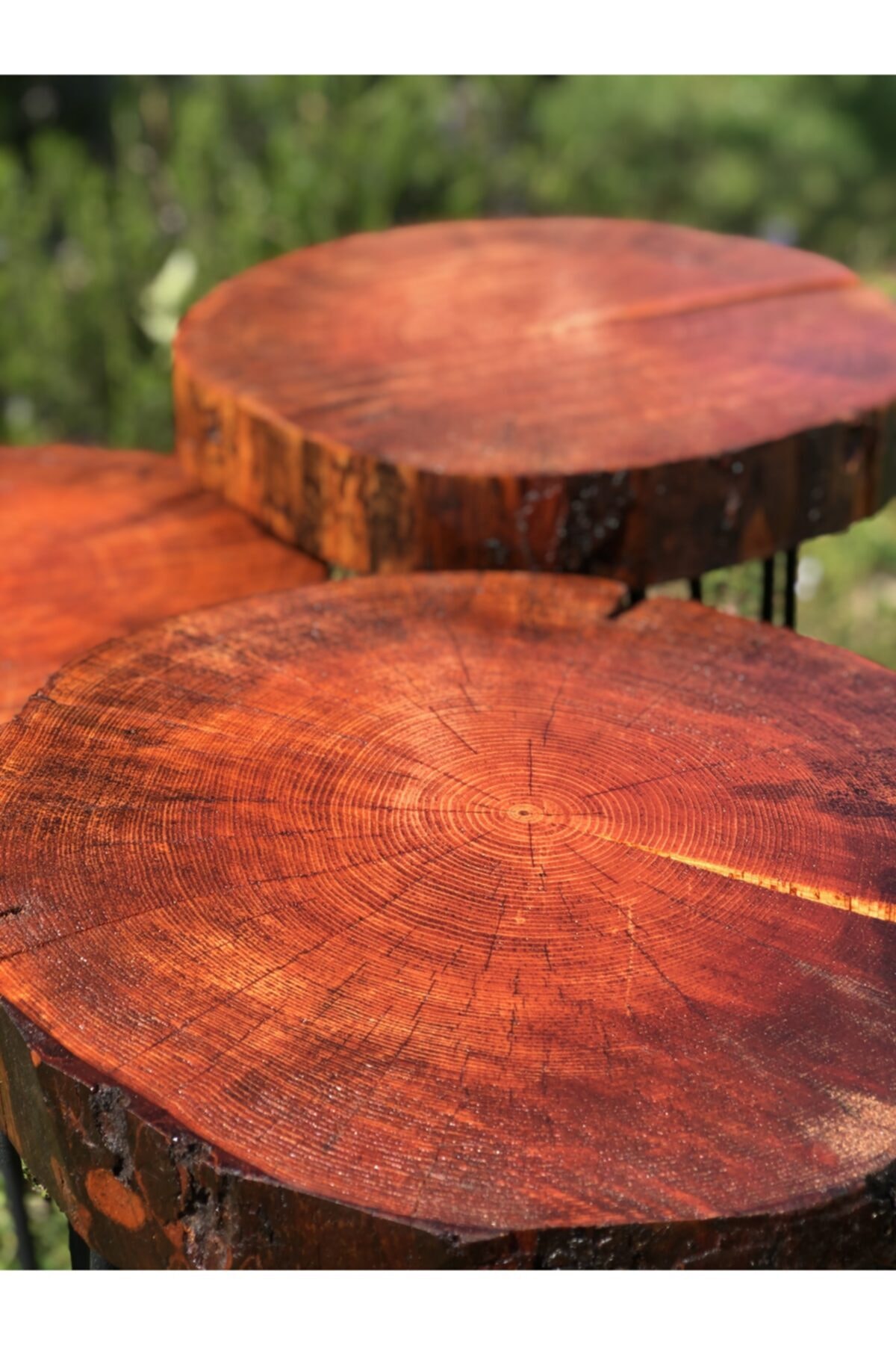 ISIKLARWOOD 3lü Kütük Zigonsehpa