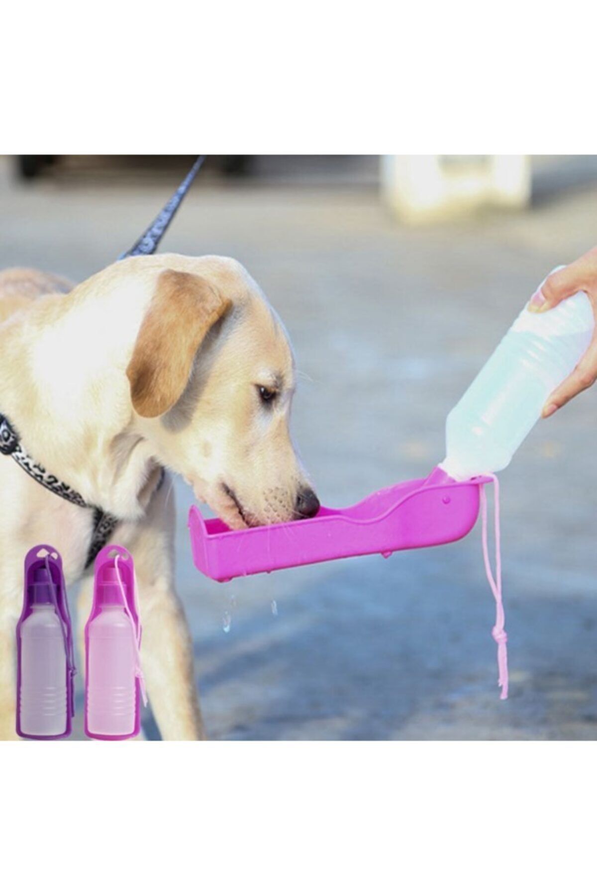 rennway Evcil Hayvan Seyahat Suluğu 500 Ml