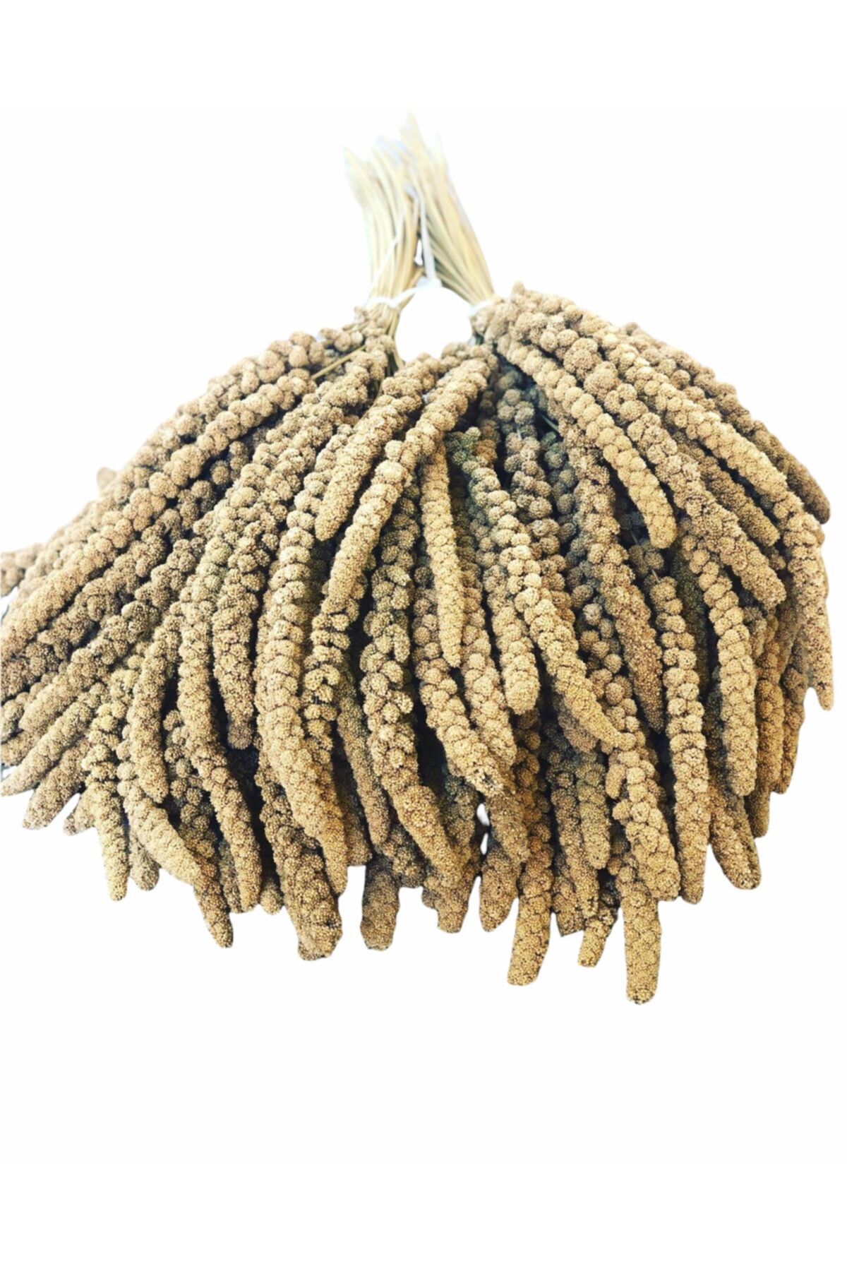 mnö mammamia mix Daldarı Sarı 250 Gr