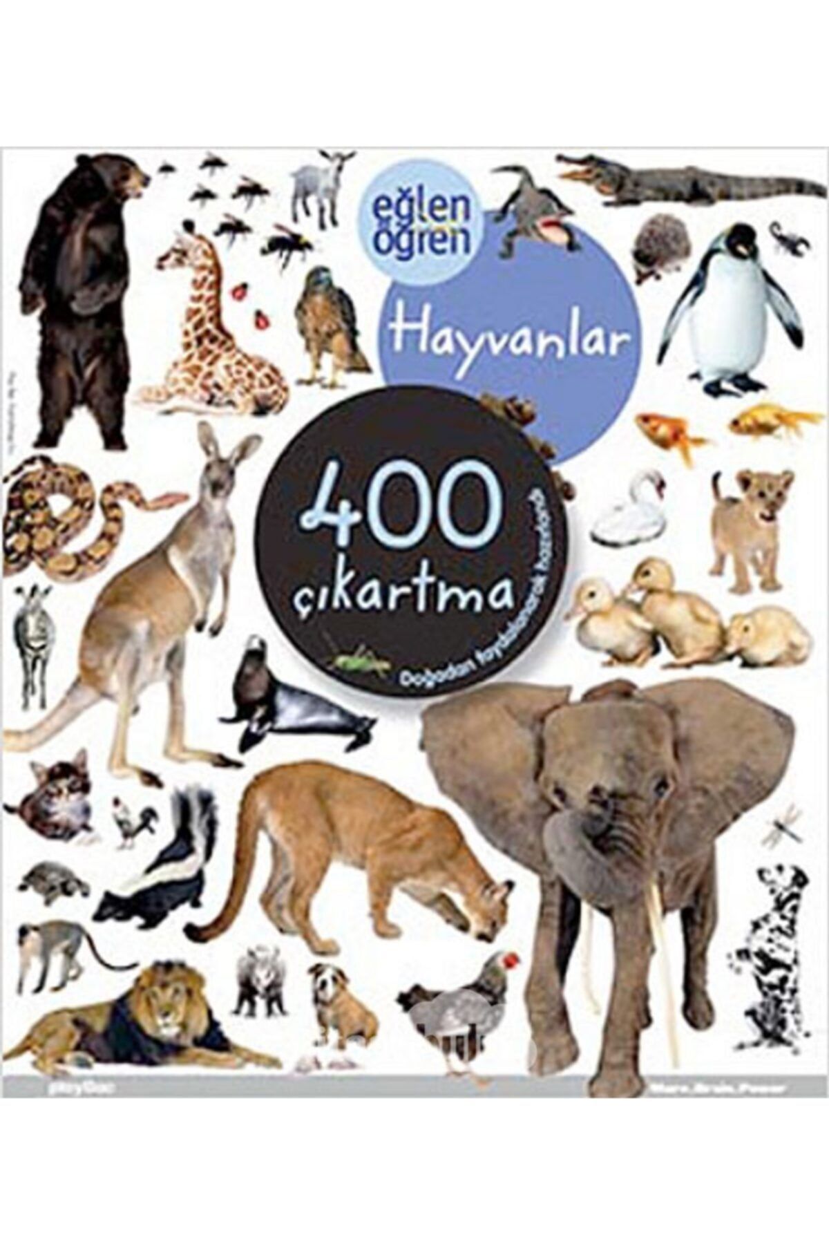 Dstil Tasarım Eğlen Öğren Hayvanlar 400 Çıkartma