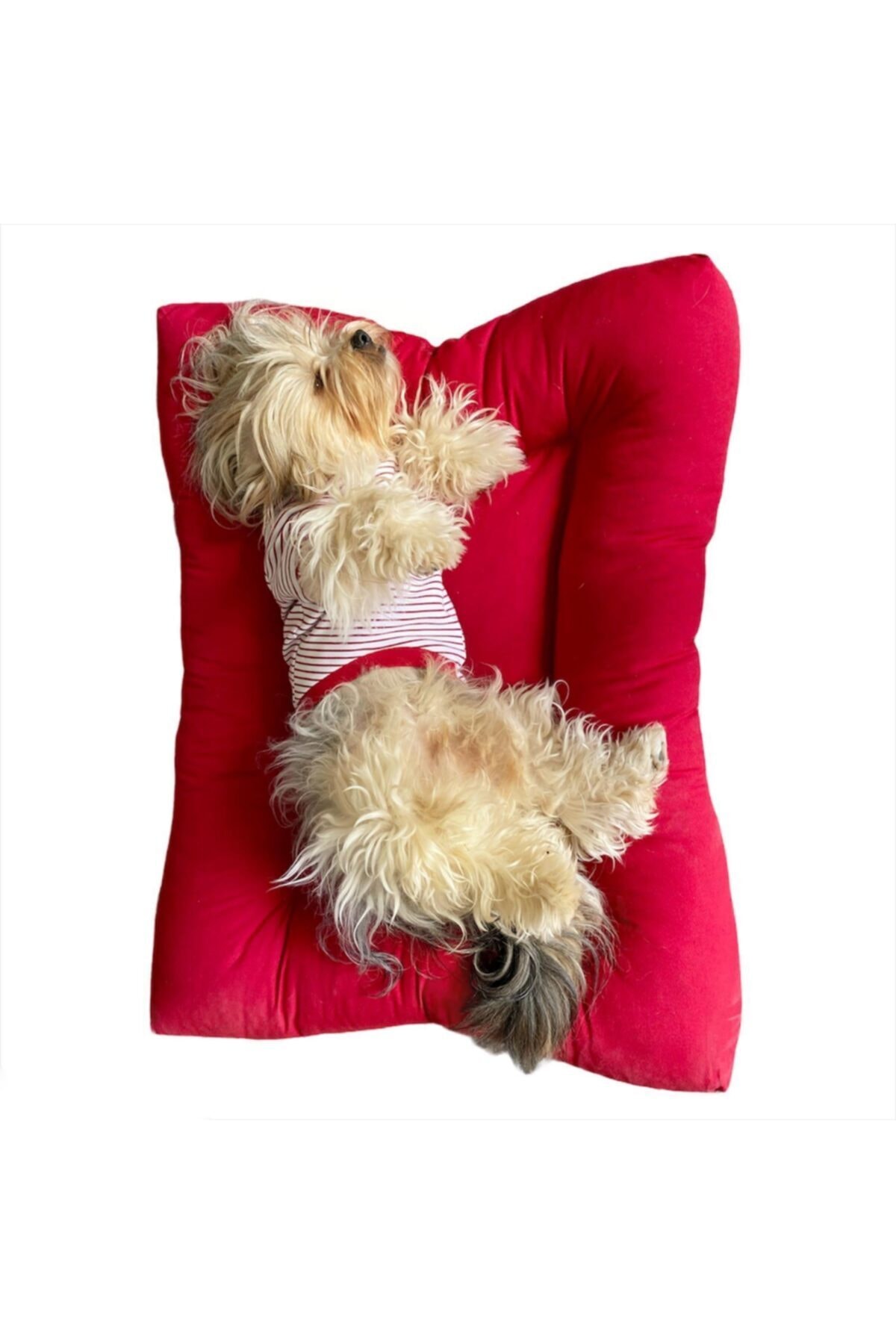 Kemique Poofy Red Xlarge Köpek Minderi Köpek Yatağı