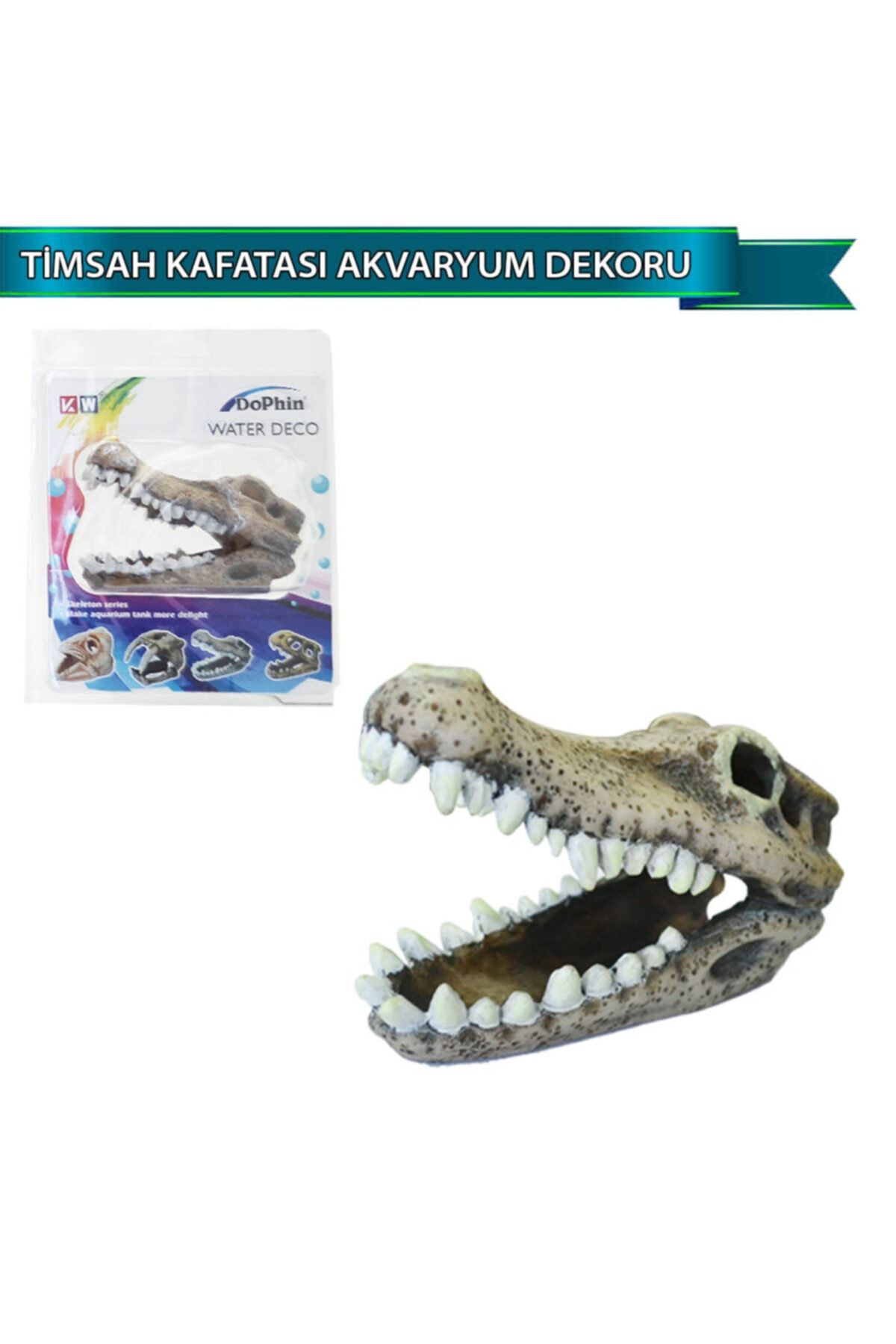 Dophin Timsah Kafatası Akvaryum Dekoru