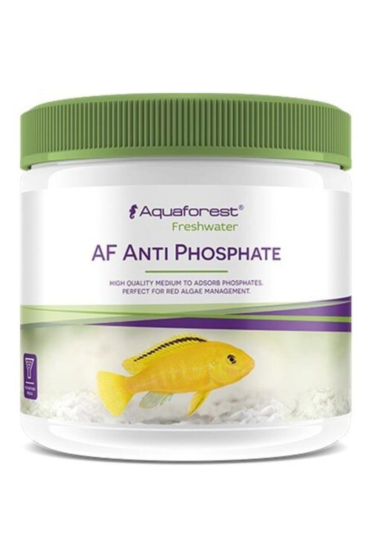 Aquaforest Akvaryum
