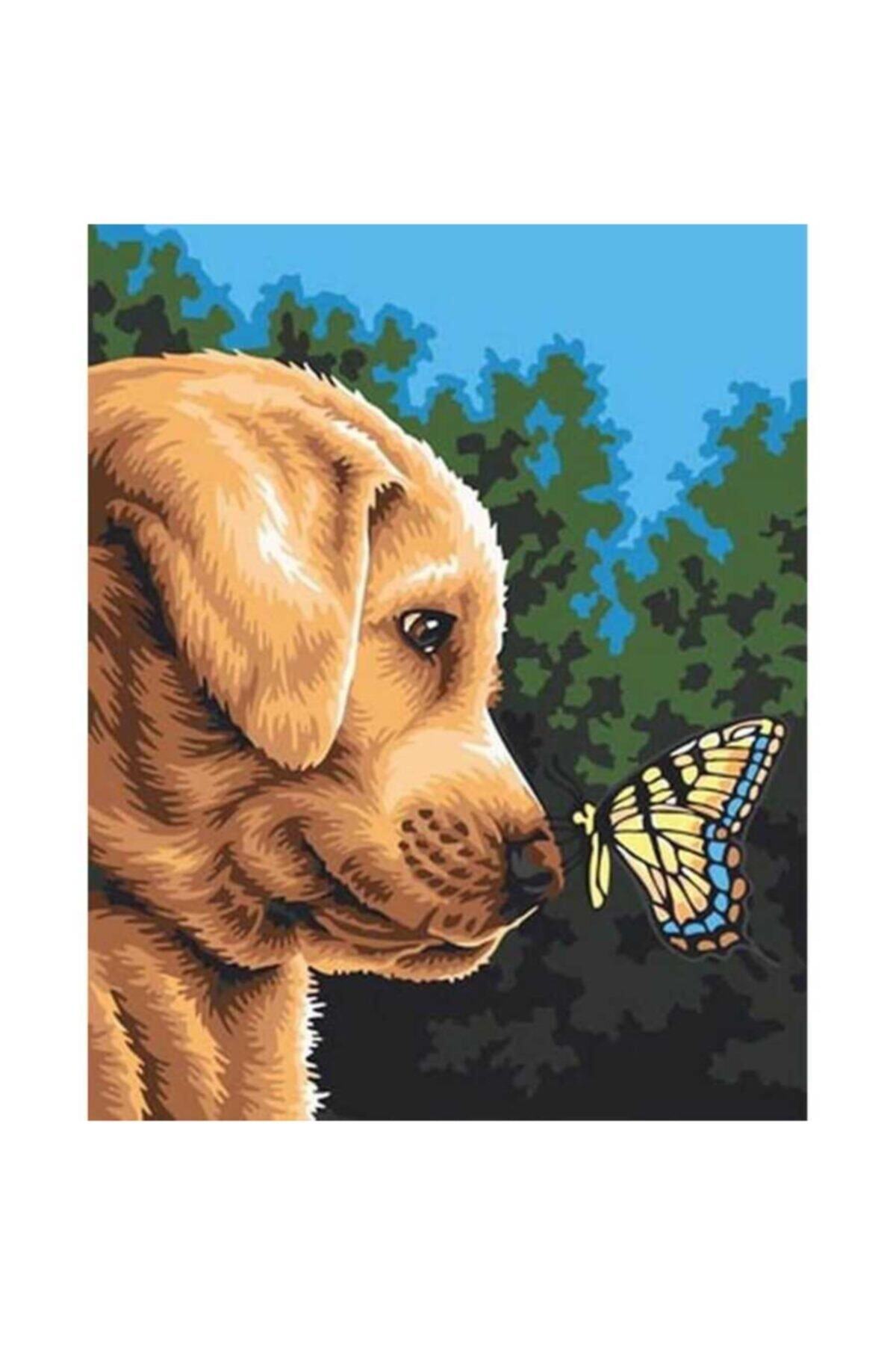 LİLYHOBBYLAND Sayılarla Boyama 70x90 Cm (çerçeveli-büyük Boy ) Tuval: Kelebek Ile Dost