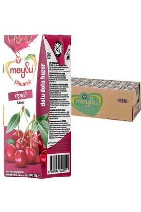 Vişne Dinamik Meyve Suyu 200 ml 27'li 1 Koli Image 0
