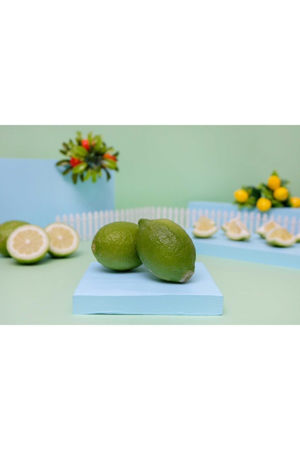LİVOKADO Erdemli Yeşil Limon(5KG)