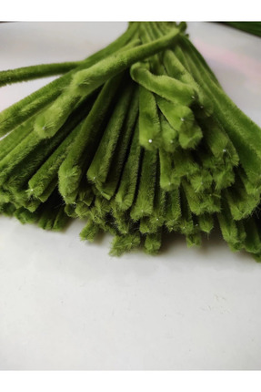 25'li Ordu Yeşil Renkli Şönil, Çiçek Yapımına Uygun Tüylü Tel, 30 Cm 6mm Image 1